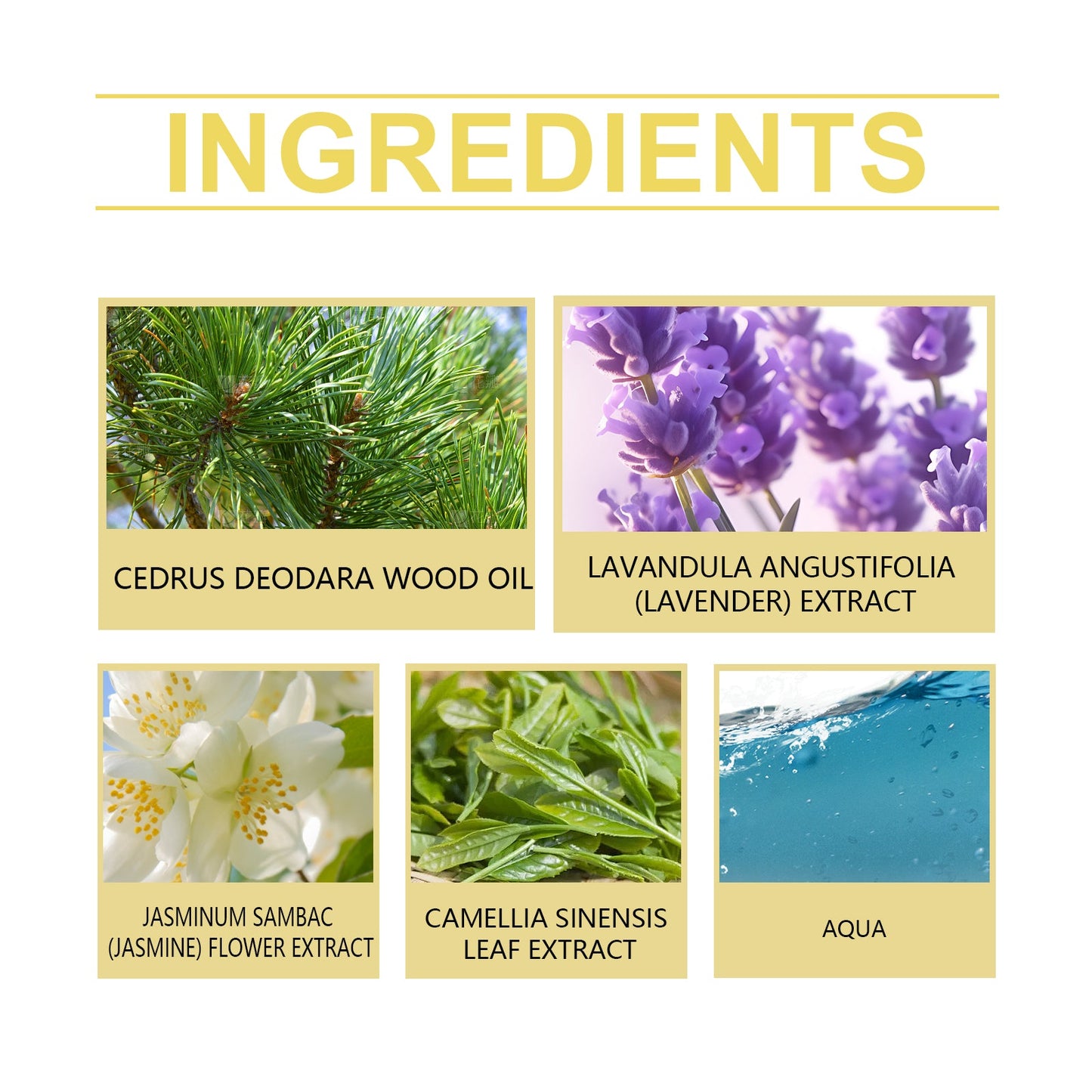 Roxelis Cedar Eau De Toilette Natural Wood Fragrance Fresh Light Flowers Glow Elegant Romantic Temperament Elegant Leave Fragrance eprolo