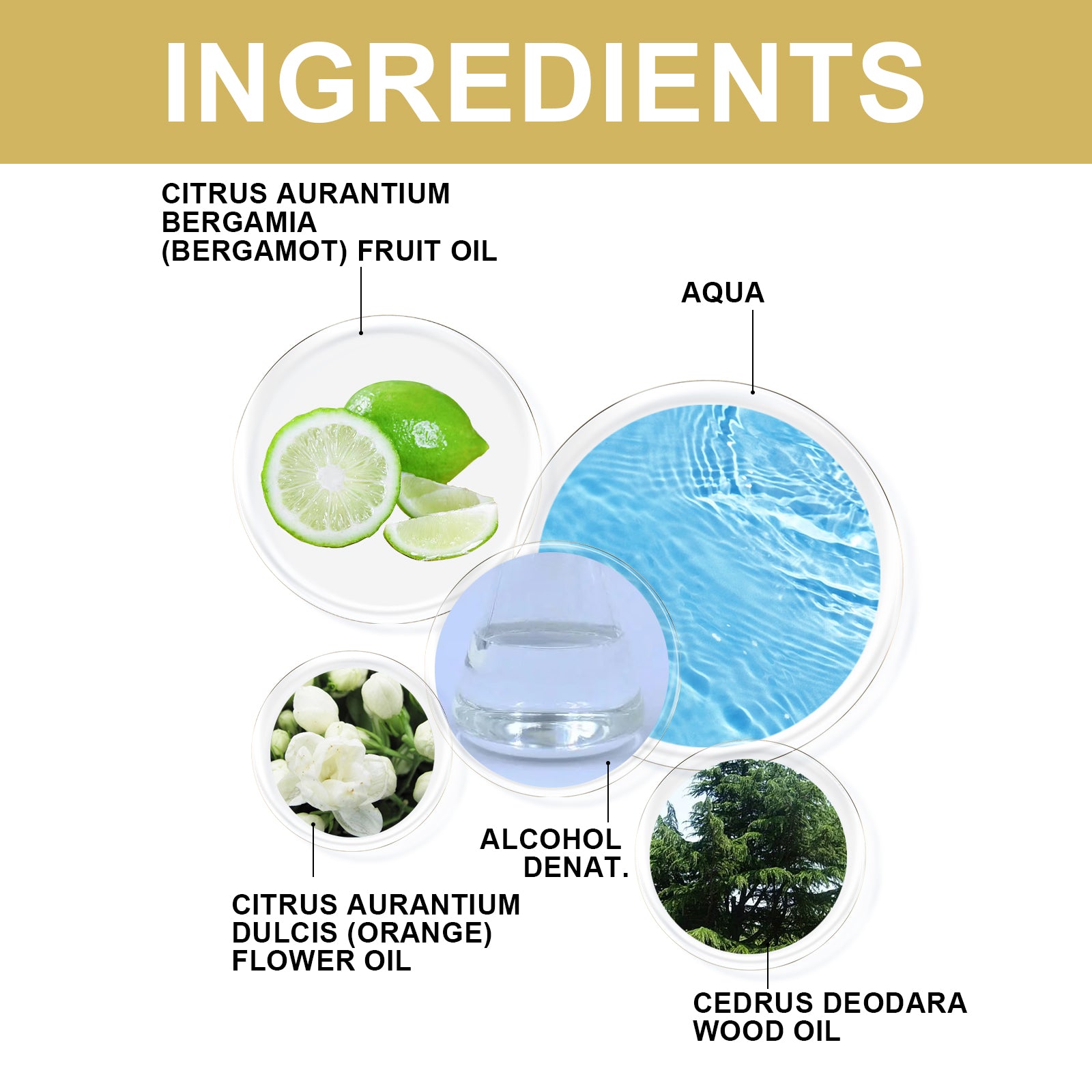 North moon Fragrance, Fresh Stay Fragrance Deodorizing Odor Lasting Niche Light Fragrance Couples Dating Atmosphere Perfume eprolo