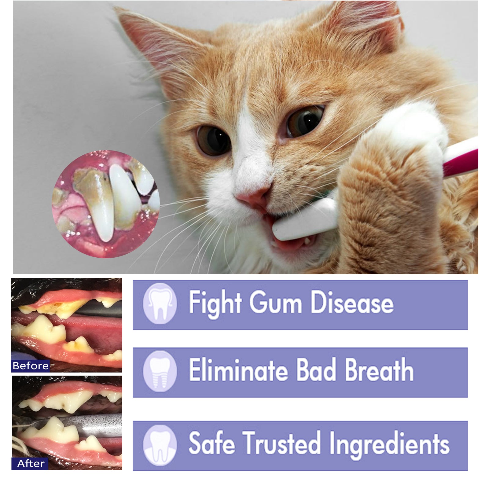 Pet Mouth Cleaning Cream, Cats And Dogs Clean Bad Breath Tartar Stains White Teeth Cream eprolo