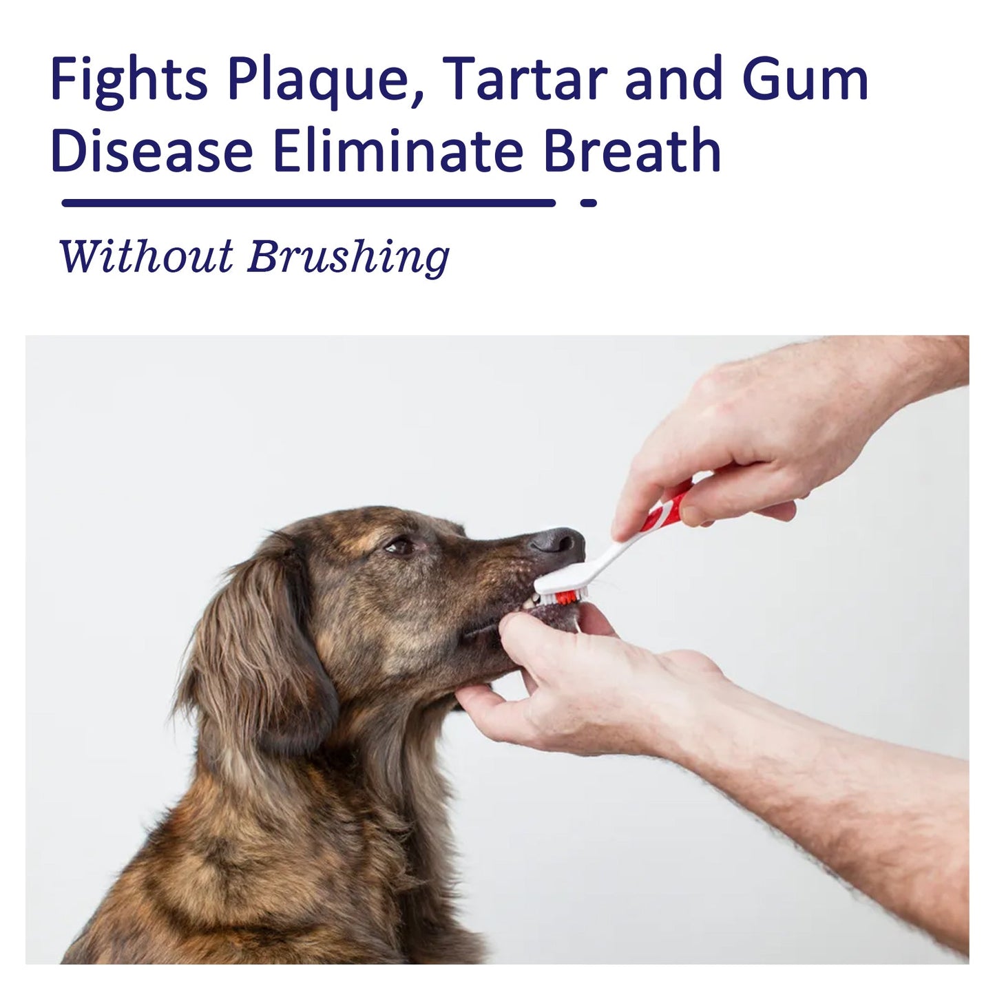 Pet Mouth Cleaning Cream, Cats And Dogs Clean Bad Breath Tartar Stains White Teeth Cream eprolo