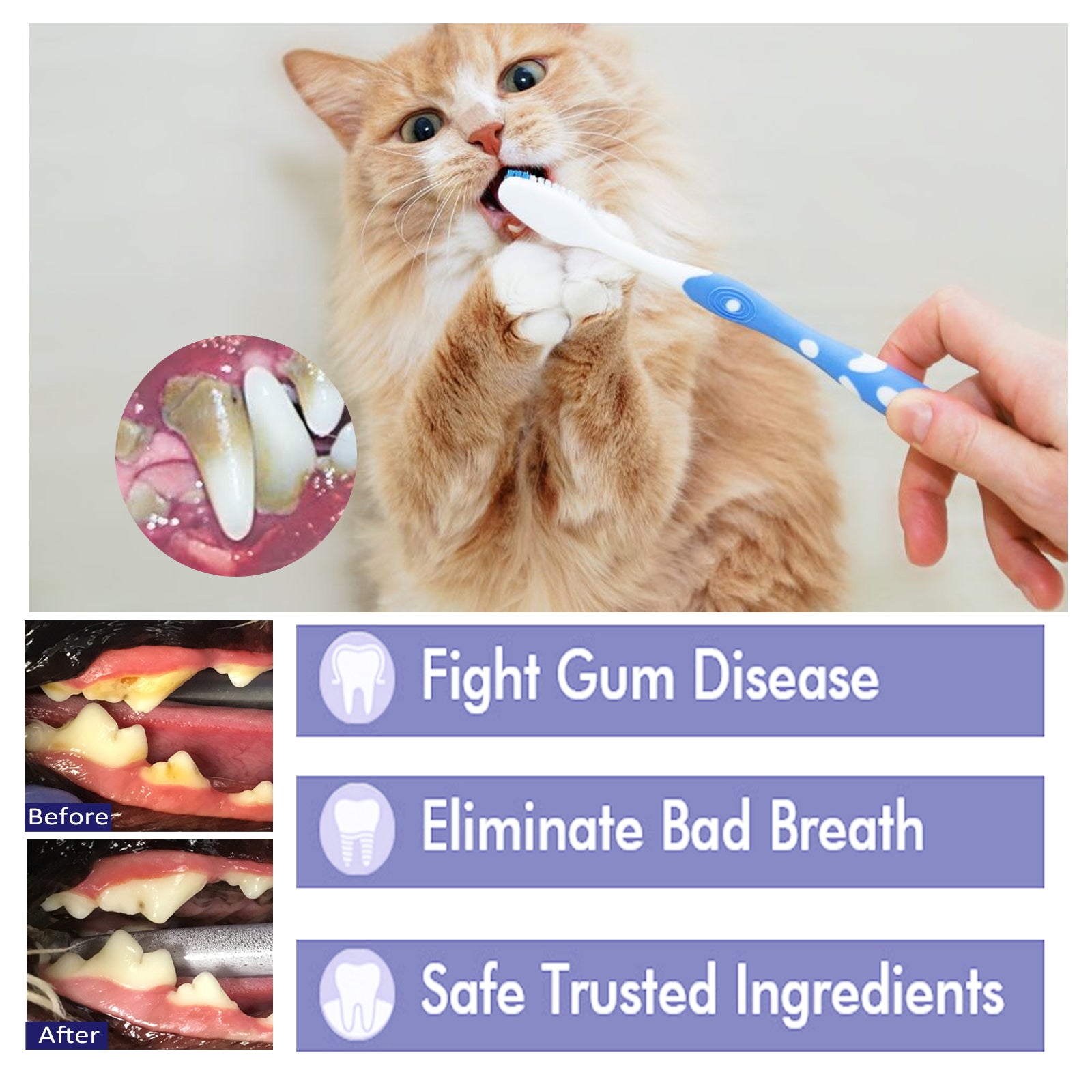 Pet V34 Toothpaste, Pet Clean Bad Breath Tartar Care Gum Care Toothpaste eprolo