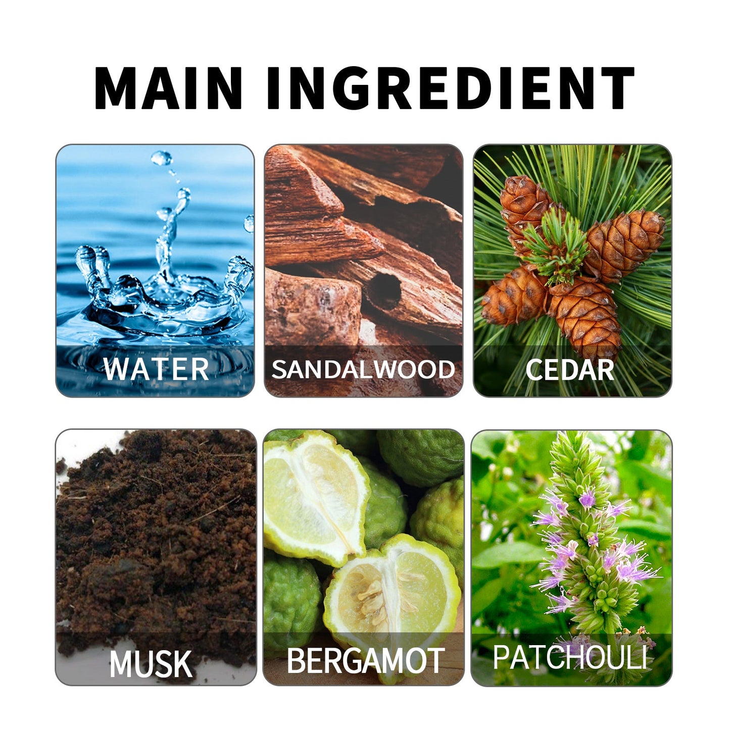 Opposite Sex Attraction Perfume, Natural Fresh Lasting Fragrance Release Charm Couple Dating Atmosphere Perfume eprolo