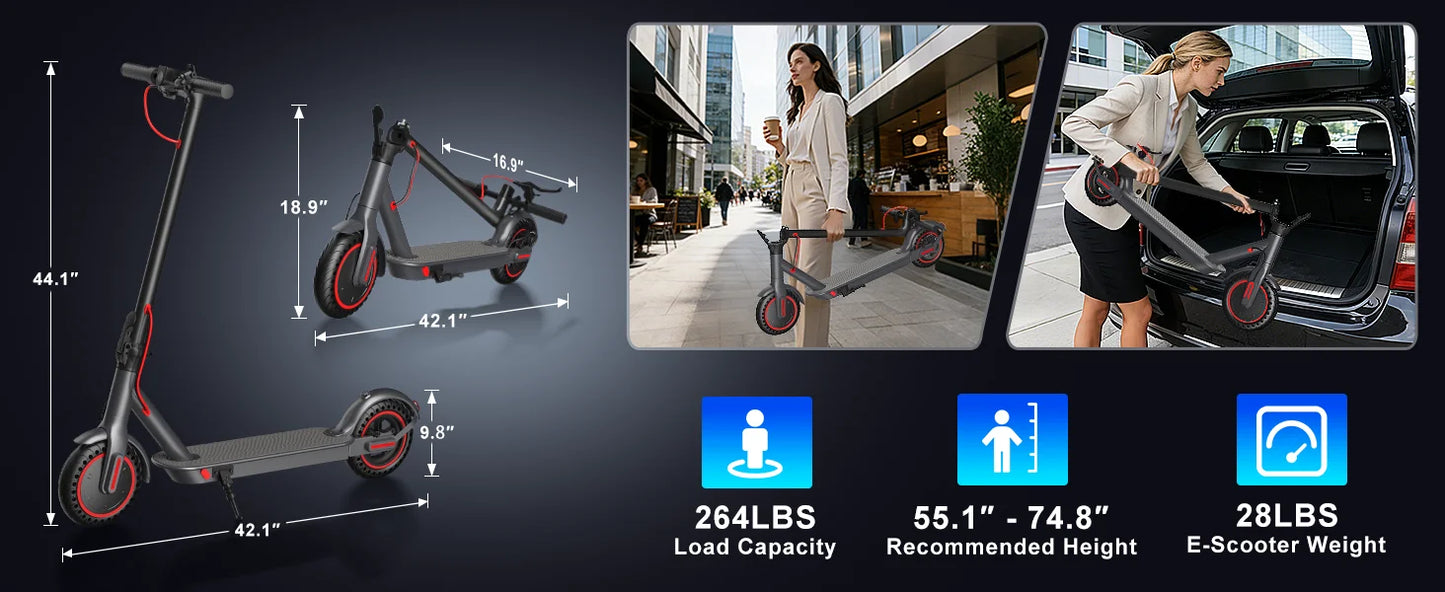 350W Electric Scooter for Adults