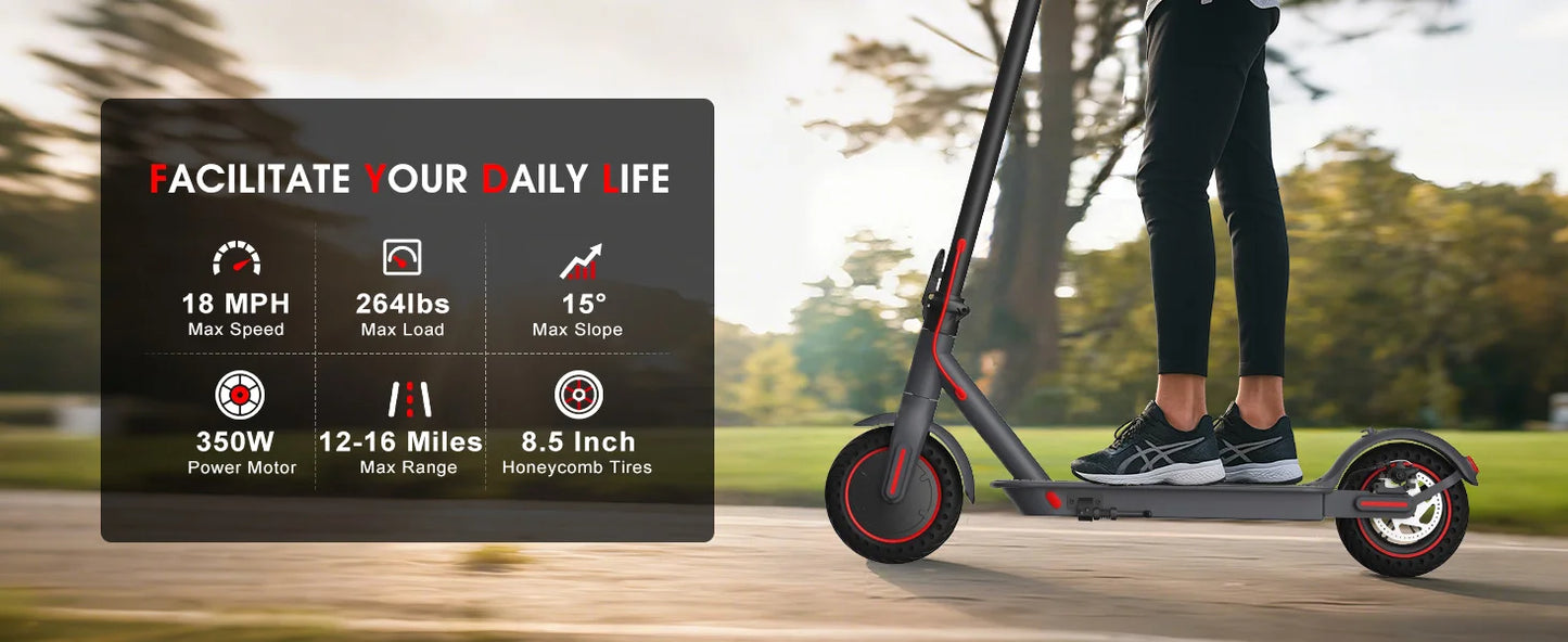 350W Electric Scooter for Adults