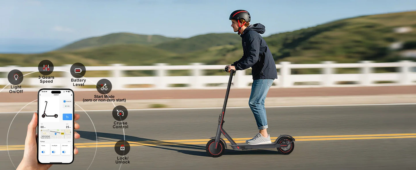 350W Electric Scooter for Adults