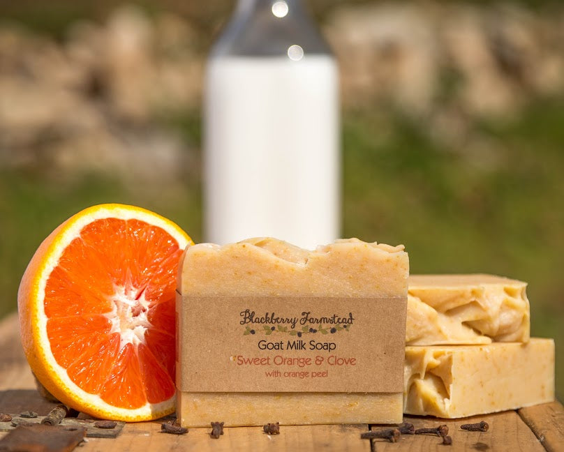 Sweet Clove & Orange Soap Blackberry Farmstead