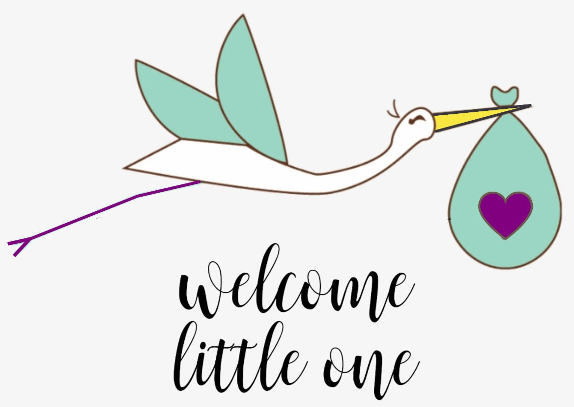 Organic new baby gift set - welcome little one! Lizush